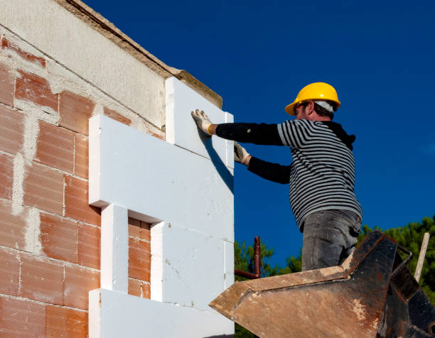 Best Insulation Contractors for Homes  in Raleigh, NC