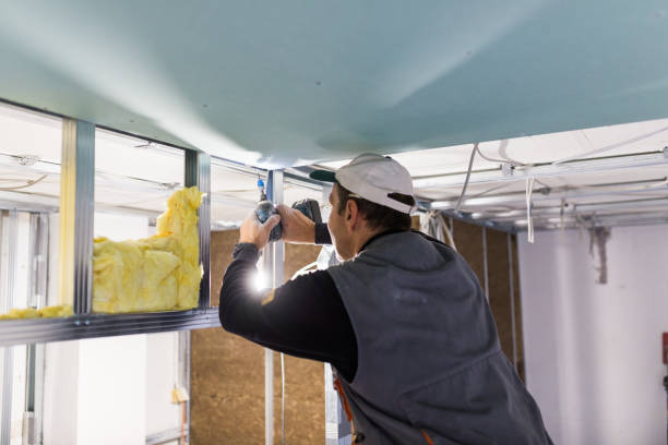Best Insulation Inspection Services  in Raleigh, NC