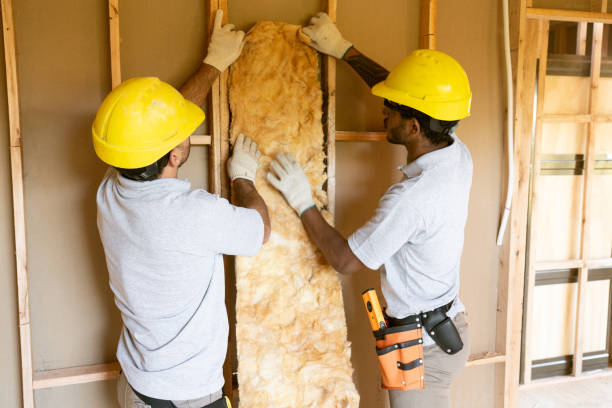 Best Soundproof Insulation Installation  in Raleigh, NC