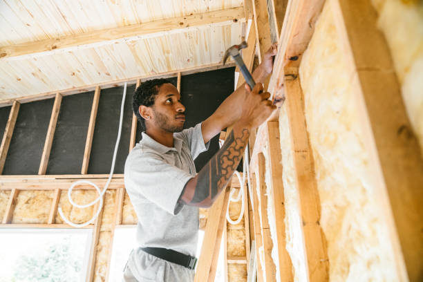Best Wall Insulation Contractor  in Raleigh, NC