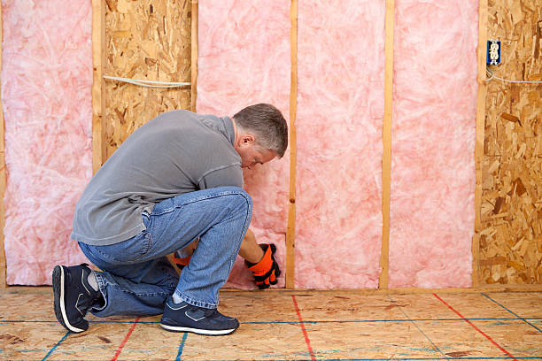Best Local Insulation Services  in Raleigh, NC