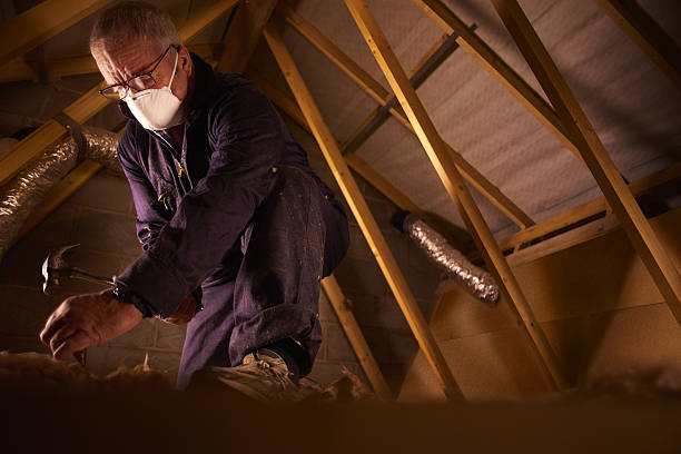 Best Insulation Replacement Services  in Raleigh, NC