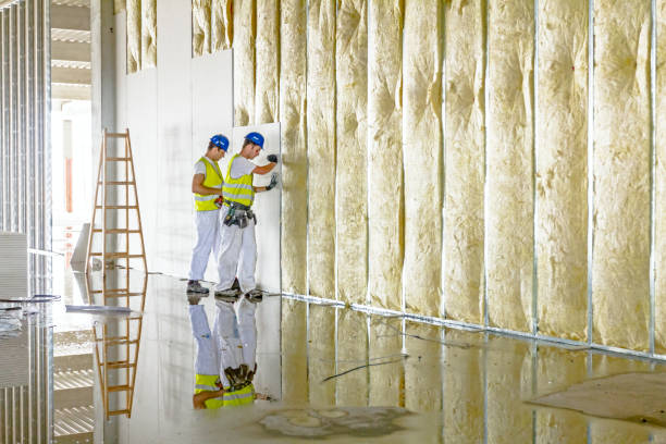 Best Insulation Contractor Near Me  in Raleigh, NC